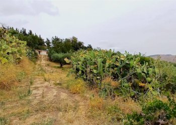 Agricultural land Contrada Misilifurmi, Sciacca - photo 13