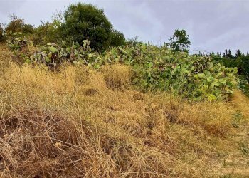 Agricultural land Contrada Misilifurmi, Sciacca - photo 14