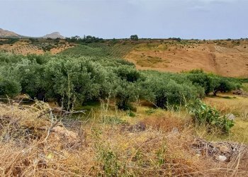 Agricultural land Contrada Misilifurmi, Sciacca - photo 15