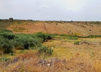 Agricultural land Contrada Misilifurmi, Sciacca - photo 16