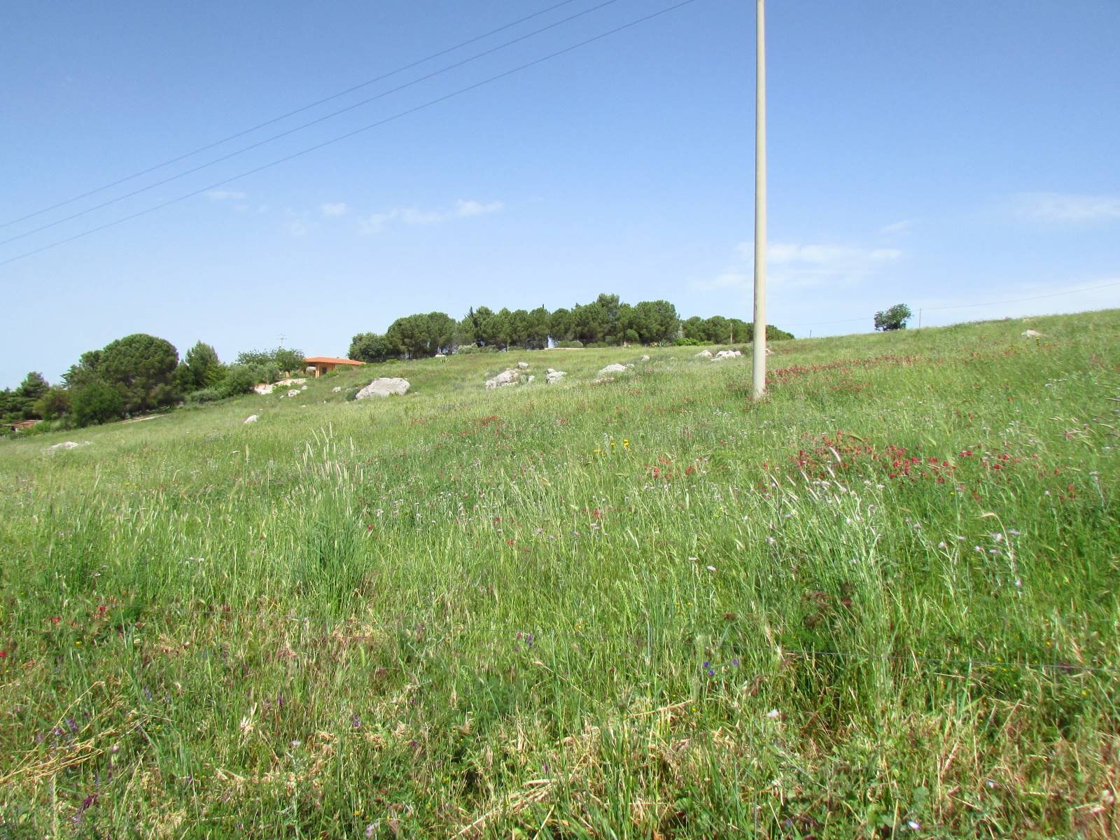 Terreno edificabile Contrada Cicale, Sambuca di Sicilia - foto 2