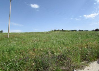 Terreno edificabile Contrada Cicale, Sambuca di Sicilia - foto 4
