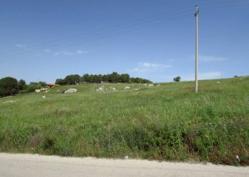 Terreno edificabile Contrada Cicale, Sambuca di Sicilia - foto 5