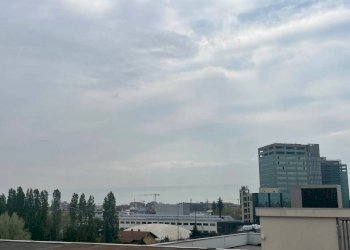 Trilocale Milano - foto 13