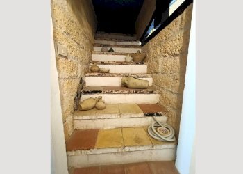 Appartamento Giovanni Badalamenti, Carini - foto 11