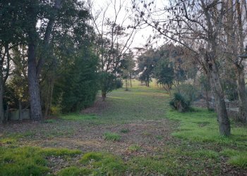 Villa Unifamiliare VIA RAVEGNANA, Ravenna - foto 2