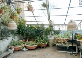 Vista - Appartamento via Carbonari, Cesena - foto 8