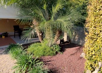 IMG_20240130_100434.jpg - Villa a Schiera Siracusa - foto 7