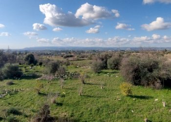 IMG_20240130_100004.jpg - Villa a Schiera Siracusa - foto 9