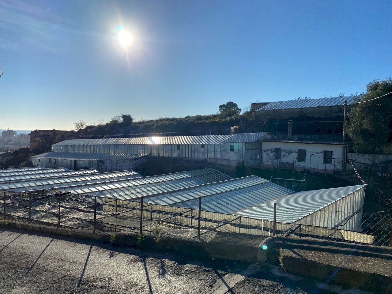 WhatsApp Image 2023-12-18 at 09.22.40.jpeg - Building land Via Beglini 137, Taggia - photo 1