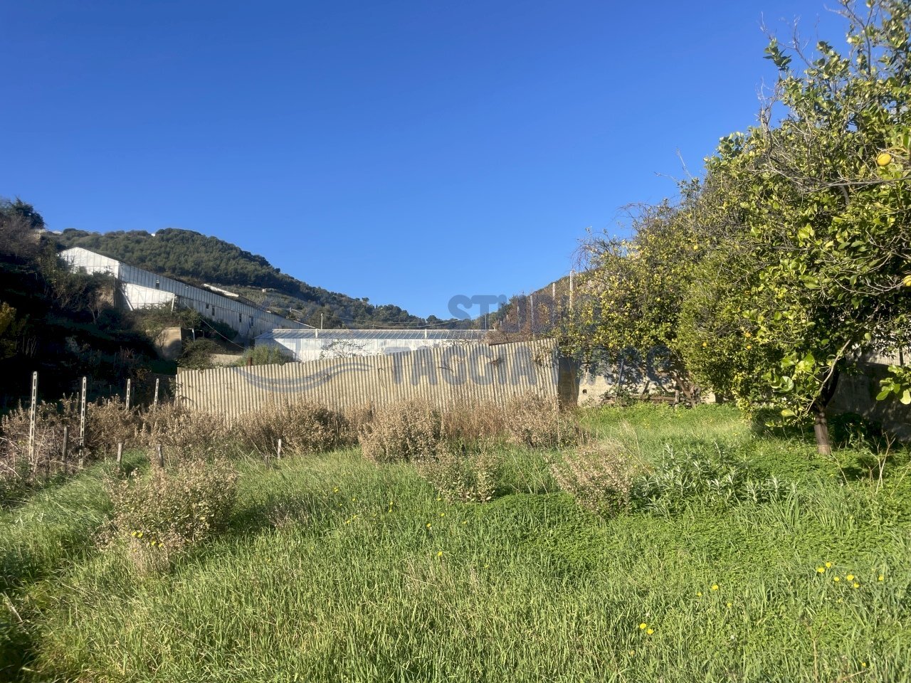 IMG_0118.JPG - Building land Via Beglini 137, Taggia - photo 2