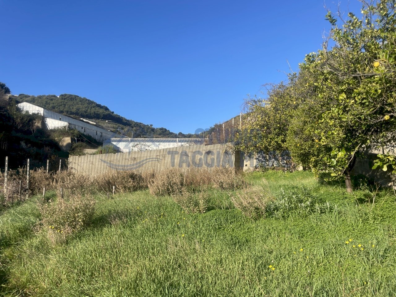 IMG_0120.JPG - Building land Via Beglini 137, Taggia - photo 3