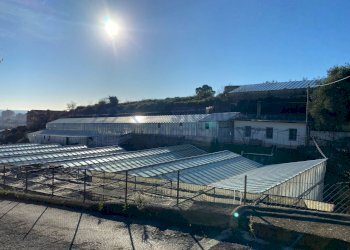 WhatsApp Image 2023-12-18 at 09.22.40.jpeg - Terreno edificabile Via Beglini 137, Taggia - foto 1