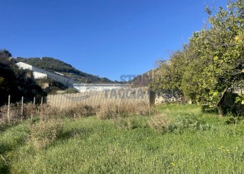 IMG_0118.JPG - Terreno edificabile Via Beglini 137, Taggia - foto 2