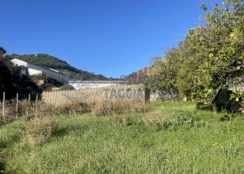 IMG_0120.JPG - Terreno edificabile Via Beglini 137, Taggia - foto 3