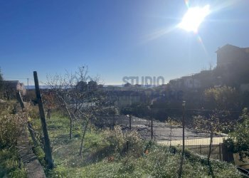 IMG_0122.JPG - Terreno edificabile Via Beglini 137, Taggia - foto 4