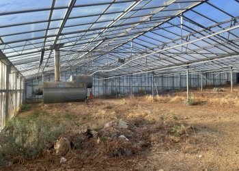 IMG_0124.JPG - Terreno edificabile Via Beglini 137, Taggia - foto 5