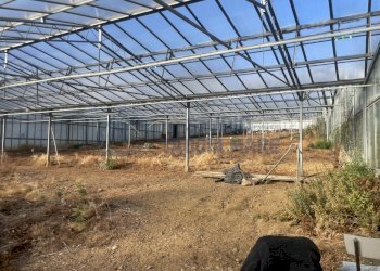 IMG_0128.JPG - Terreno edificabile Via Beglini 137, Taggia - foto 6