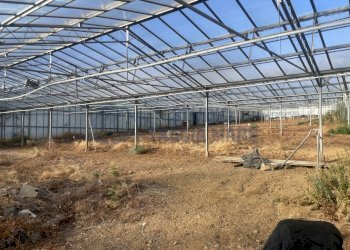 IMG_0129.JPG - Terreno edificabile Via Beglini 137, Taggia - foto 7