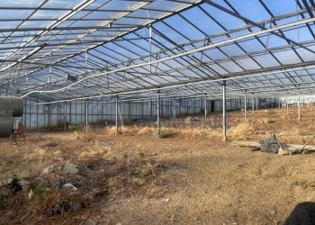 IMG_0130.JPG - Terreno edificabile Via Beglini 137, Taggia - foto 8