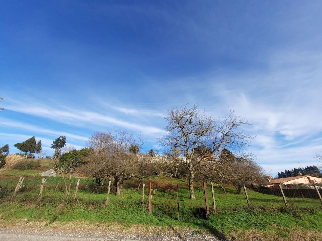 473543080.jpg - Terreno agricolo Via Mezza Selva, Palestrina - foto 1