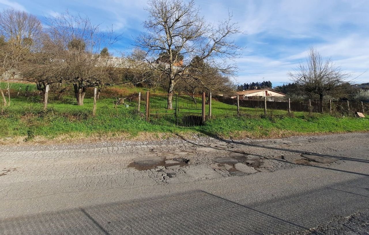 473543092.jpg - Terreno agricolo Via Mezza Selva, Palestrina - foto 2