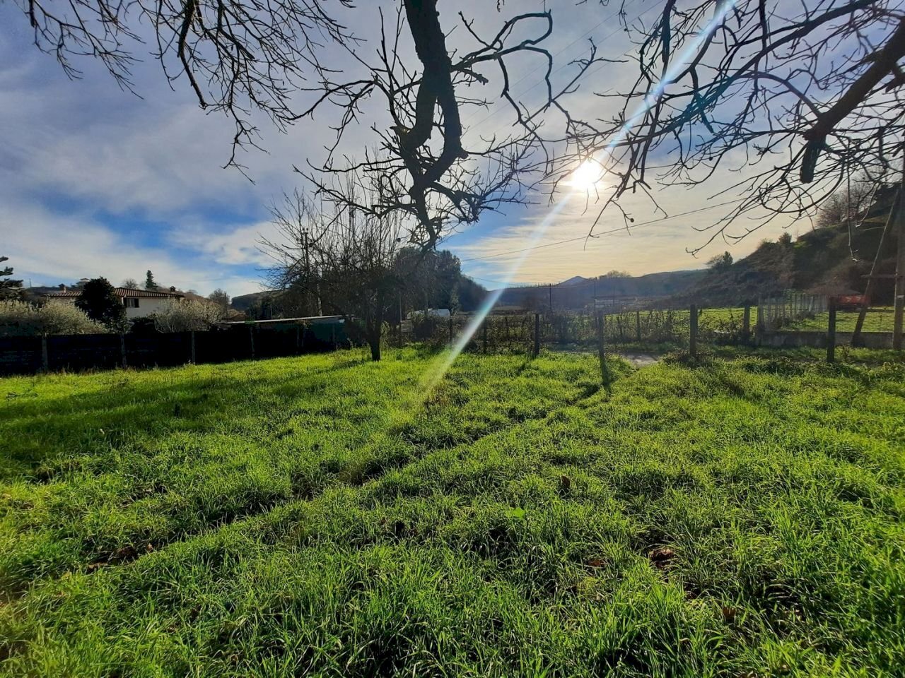 473543098.jpg - Terreno agricolo Via Mezza Selva, Palestrina - foto 3