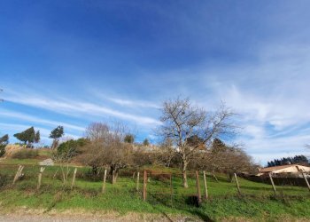 473543080.jpg - Terreno agricolo Via Mezza Selva, Palestrina - foto 1