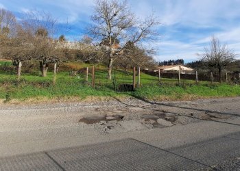 473543092.jpg - Terreno agricolo Via Mezza Selva, Palestrina - foto 2