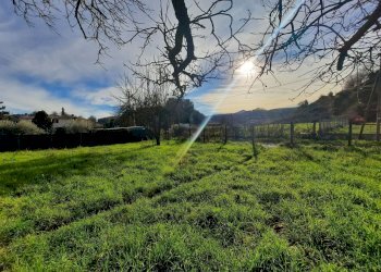 473543098.jpg - Terreno agricolo Via Mezza Selva, Palestrina - foto 3