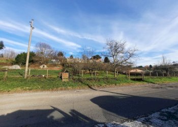 473543099.jpg - Terreno agricolo Via Mezza Selva, Palestrina - foto 4