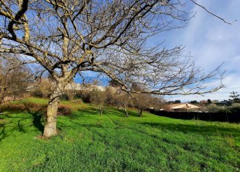 473543100.jpg - Terreno agricolo Via Mezza Selva, Palestrina - foto 5