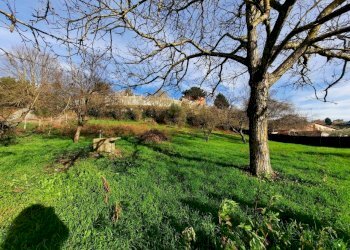 473543110.jpg - Terreno agricolo Via Mezza Selva, Palestrina - foto 7