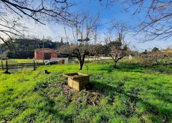 473543111.jpg - Terreno agricolo Via Mezza Selva, Palestrina - foto 8