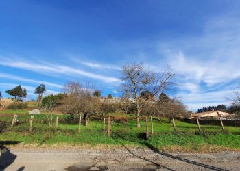 473543112.jpg - Terreno agricolo Via Mezza Selva, Palestrina - foto 9