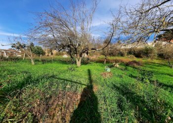 473543117.jpg - Terreno agricolo Via Mezza Selva, Palestrina - foto 11