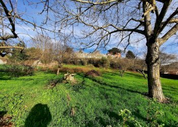 473543118.jpg - Terreno agricolo Via Mezza Selva, Palestrina - foto 12