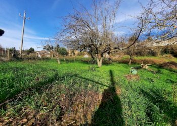 473543119.jpg - Terreno agricolo Via Mezza Selva, Palestrina - foto 13