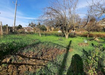 473543120.jpg - Terreno agricolo Via Mezza Selva, Palestrina - foto 14