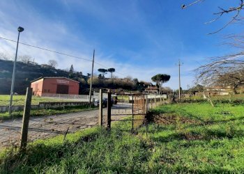 473543121.jpg - Terreno agricolo Via Mezza Selva, Palestrina - foto 15