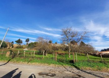 473543122.jpg - Terreno agricolo Via Mezza Selva, Palestrina - foto 16