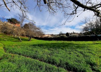 473543123.jpg - Terreno agricolo Via Mezza Selva, Palestrina - foto 17