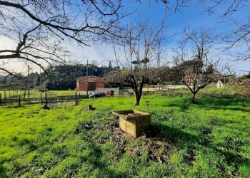 473543134.jpg - Terreno agricolo Via Mezza Selva, Palestrina - foto 19