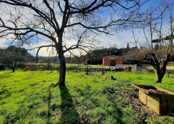 473543144.jpg - Terreno agricolo Via Mezza Selva, Palestrina - foto 20