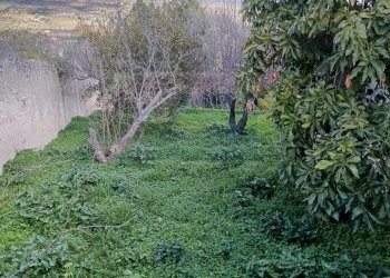 giardino - Villa contrada garofalo, Canicattini Bagni - foto 14