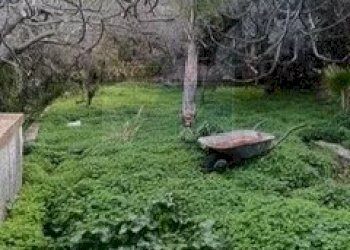 giardino - Villa contrada garofalo, Canicattini Bagni - foto 20