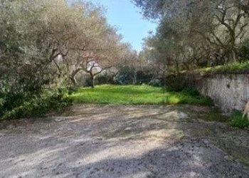 giardino - Villa contrada garofalo, Canicattini Bagni - foto 21