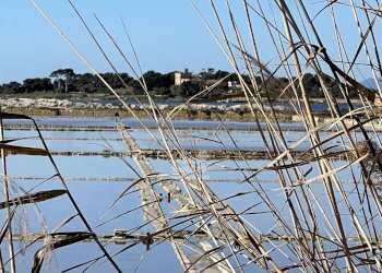 Terreno agricolo Marsala - foto 1