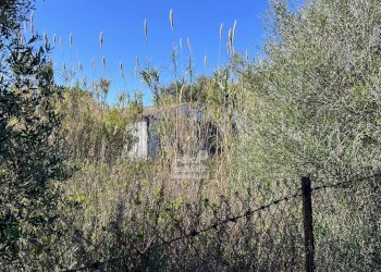 Terreno agricolo Marsala - foto 6