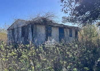 Terreno agricolo Marsala - foto 9